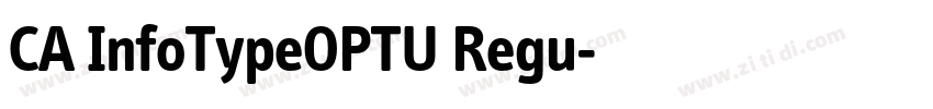 CA InfoTypeOPTU Regu字体转换